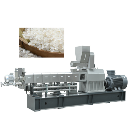 Fortified Rice Kernel FRK Process Line